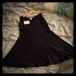 Black rose print Skater Dress NWT!